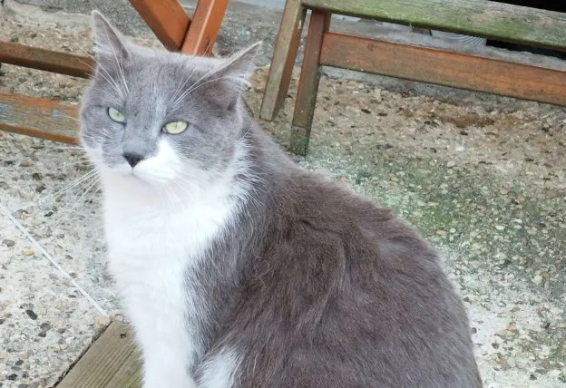 Photo de Rémy